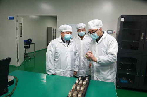 高新區(qū)主要領(lǐng)導深入重點項目企業(yè)檢查疫情防控工作