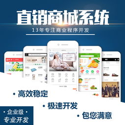 軟件開(kāi)發(fā)與供應(yīng) 批發(fā)合作模式探析